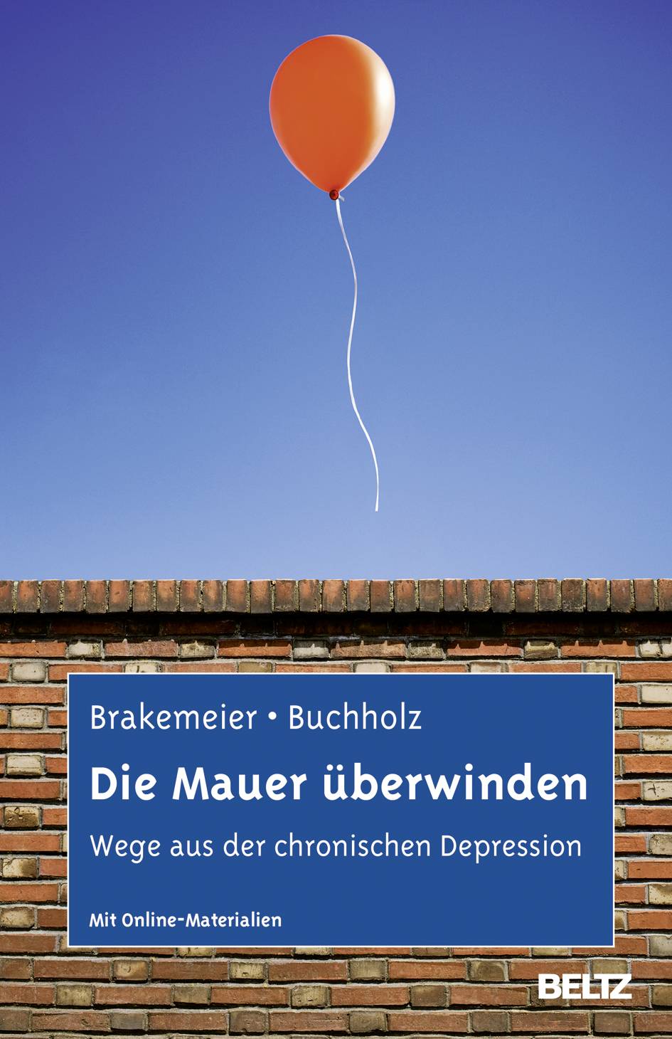 Die Mauer überwinden Wege aus der chronischen Depression. Mit Online-Materialien