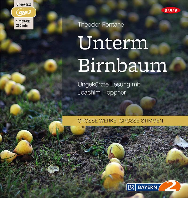 Unterm Birnbaum, 1 MP3-CD Ungekürzte Lesung
