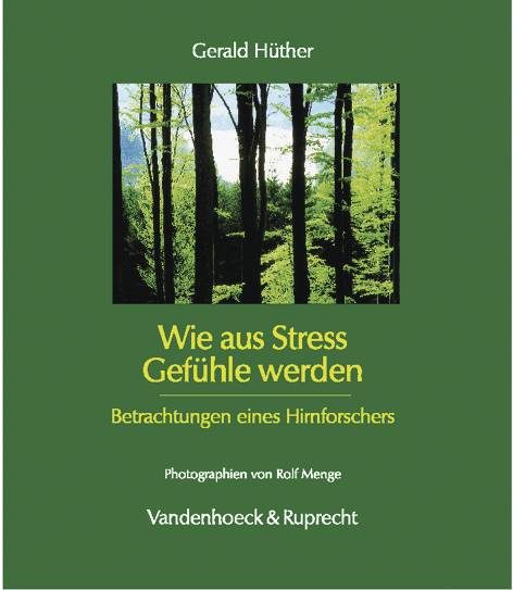 Wie aus Stress Gefühle werden Betrachtungen eines Hirnforschers