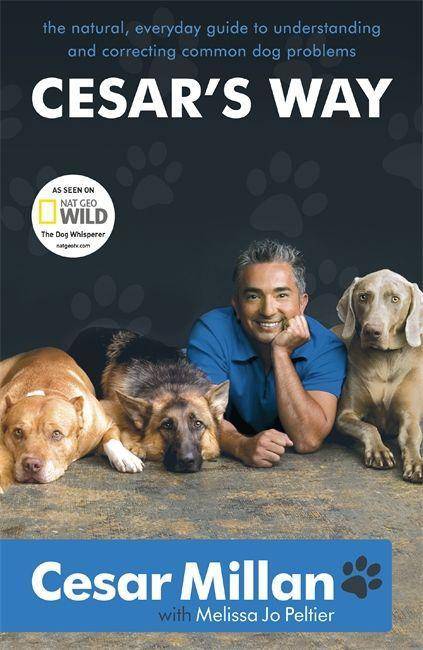 Artikeltemplate The Natural, Everyday Guide to Understanding and Correcting Common Dog Problems
