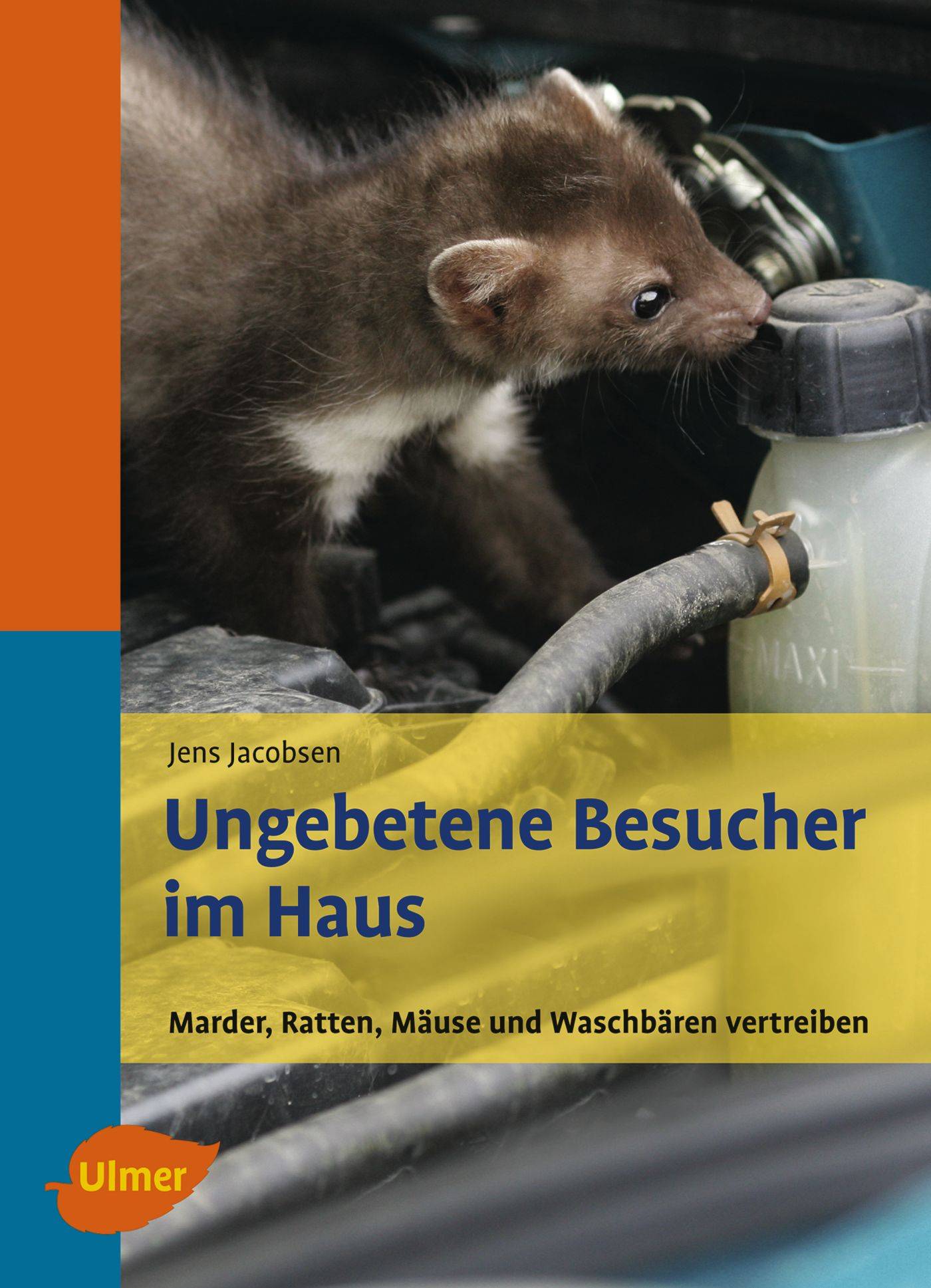 Ungebetene Besucher im Haus Marder, Ratten, Mäuse und Waschbären vertreiben