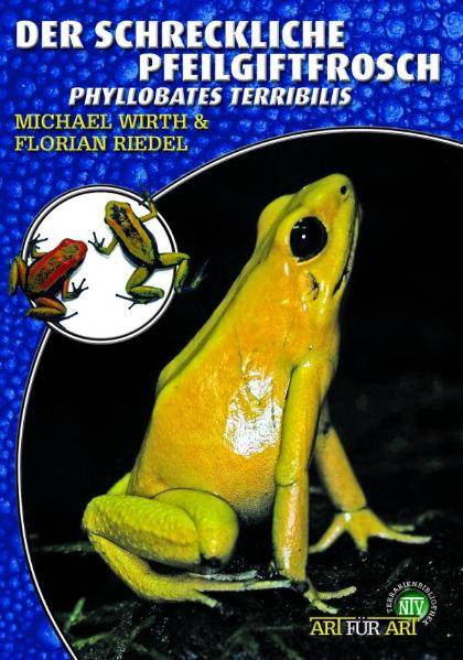 Der schreckliche Pfeilgiftfrosch Phyllobates Terribilis
