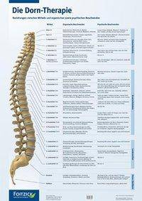 Die Dorn-Therapie, 1 Poster Beziehungen zwischen Wirbeln und organischen sowie psychischen Beschwerden