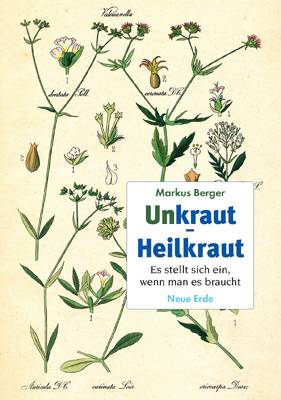 Unkraut - Heilkraut Es stellt sich ein, wenn man es braucht