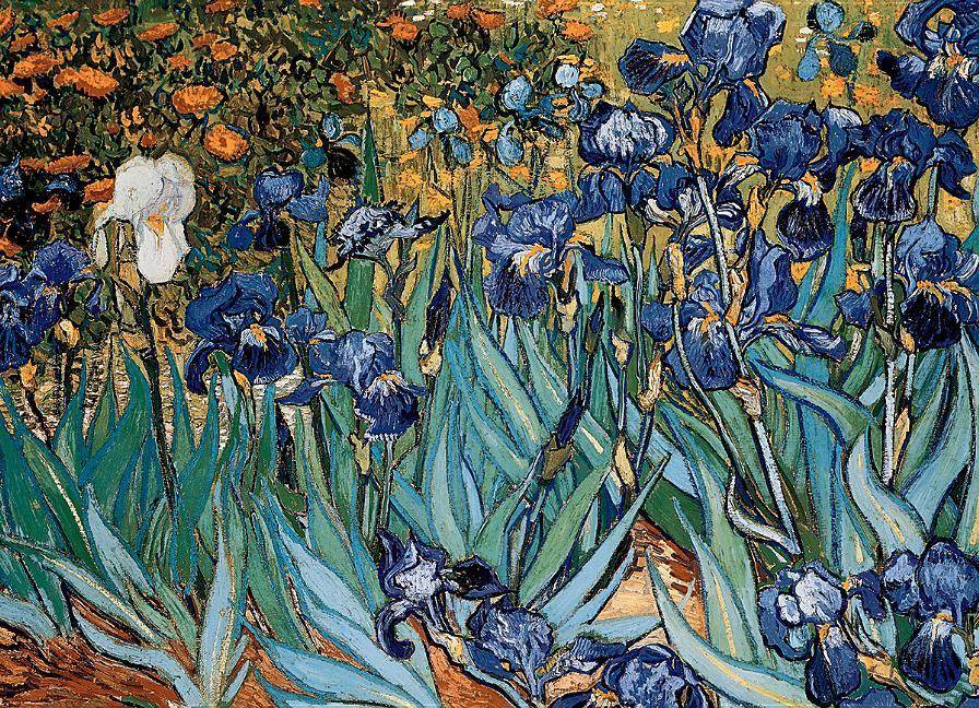 Schwertlilien von Vincent van Gogh (Puzzle) Schwertlilien, Anzahl Teile: 1000, Maße (B/H): 68 x 48 cm, Eurographics-Puzzle, Smart Cut Technology