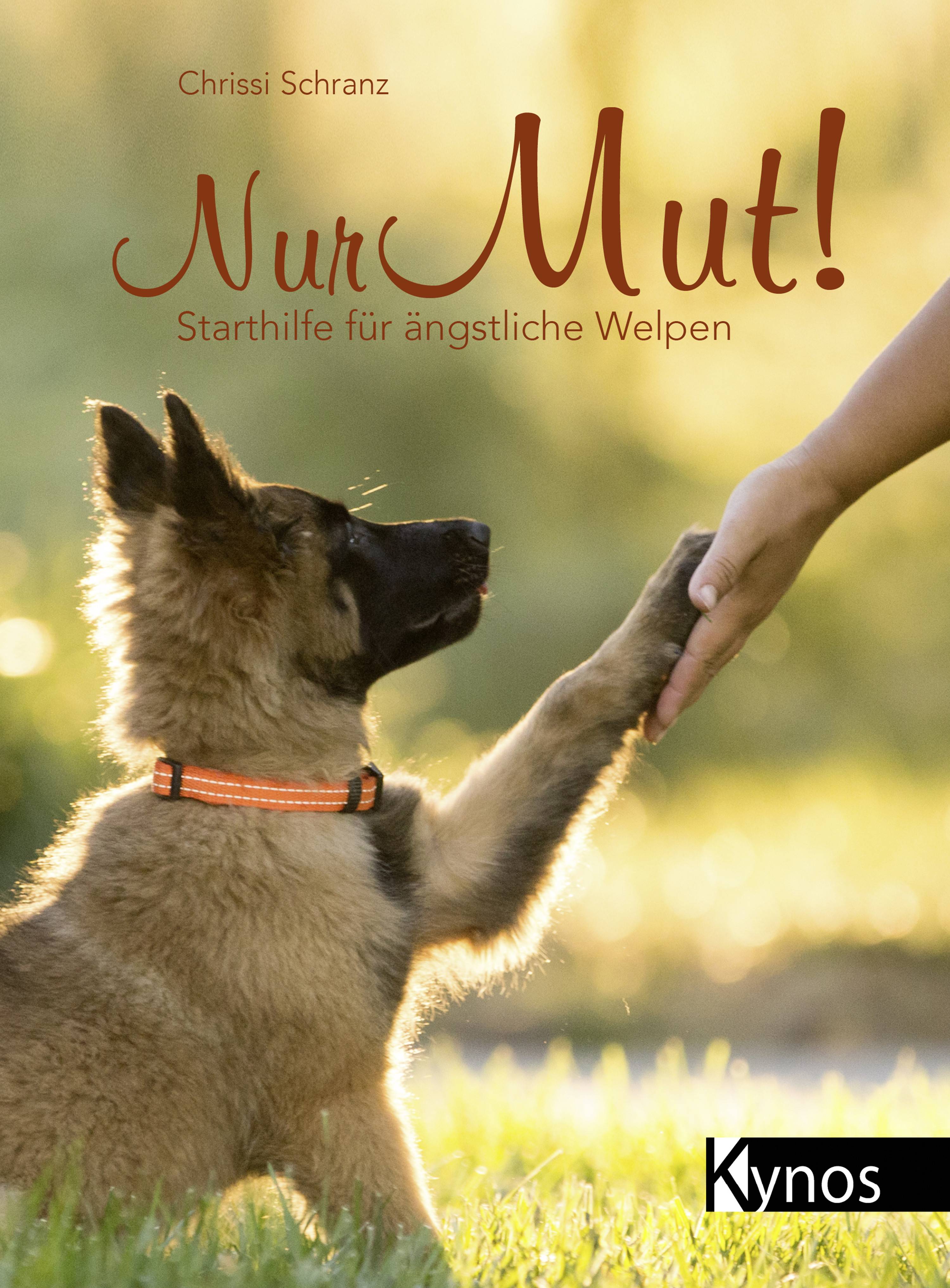 Nur Mut! Starthilfe für ängstliche Welpen