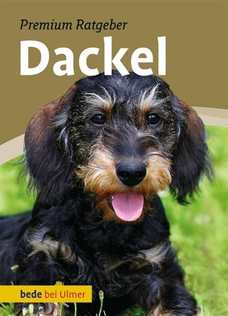 Dackel Premium Ratgeber - bede bei Ulmer