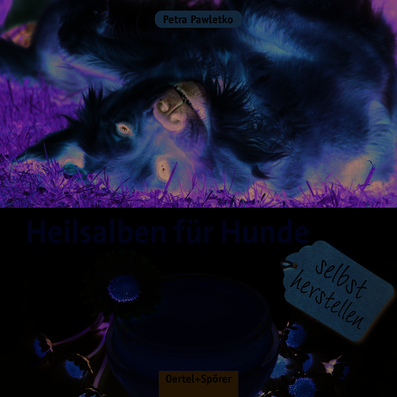 Heilsalben für Hunde selbst herstellen