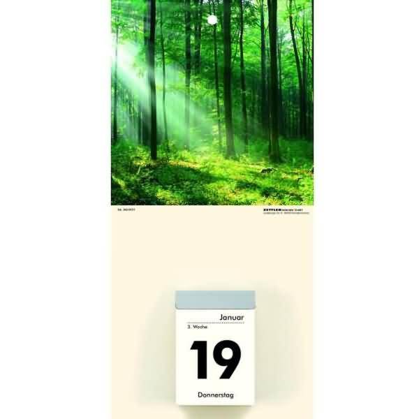 Kalenderrückwand 14,5x30cm für Typ 301 / 302 Natur sortiert