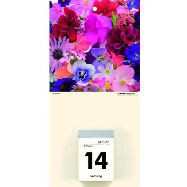 Kalenderrückwand 14,5x30cm für Typ 301 / 302 Blumen sortiert