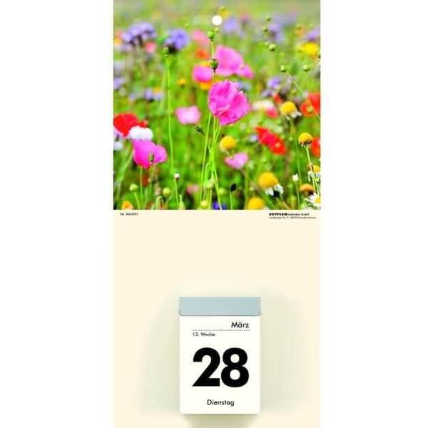 Kalenderrückwand 14,5x30cm für Typ 301 / 302 Blumen sortiert
