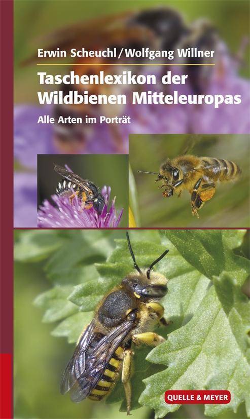 Taschenlexikon der Wildbienen Mitteleuropas Alle Arten im Porträt