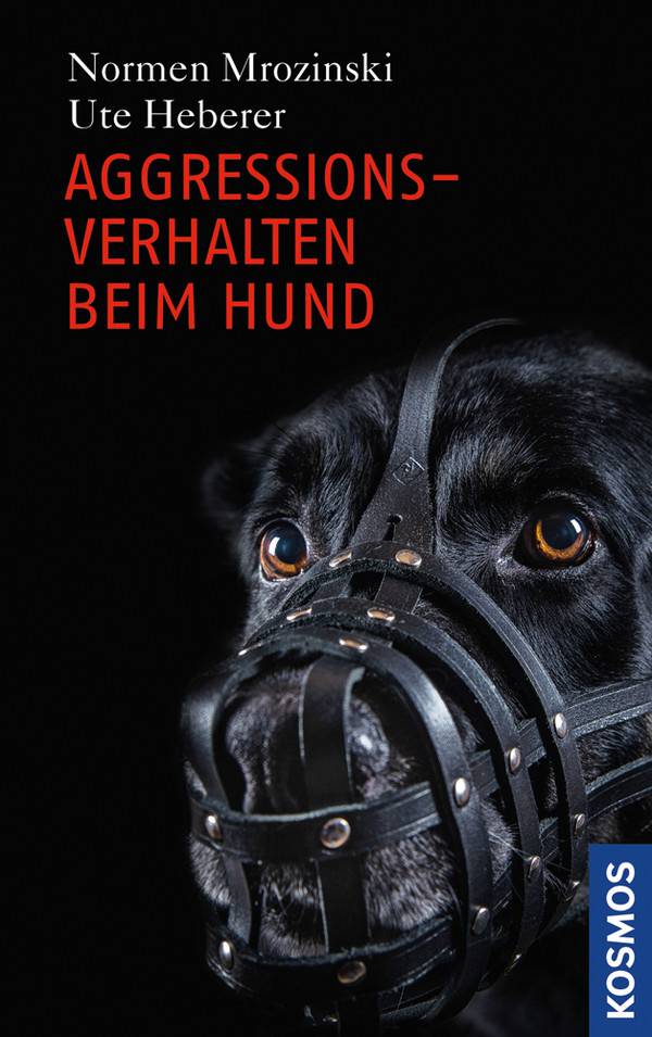 Aggressionsverhalten beim Hund