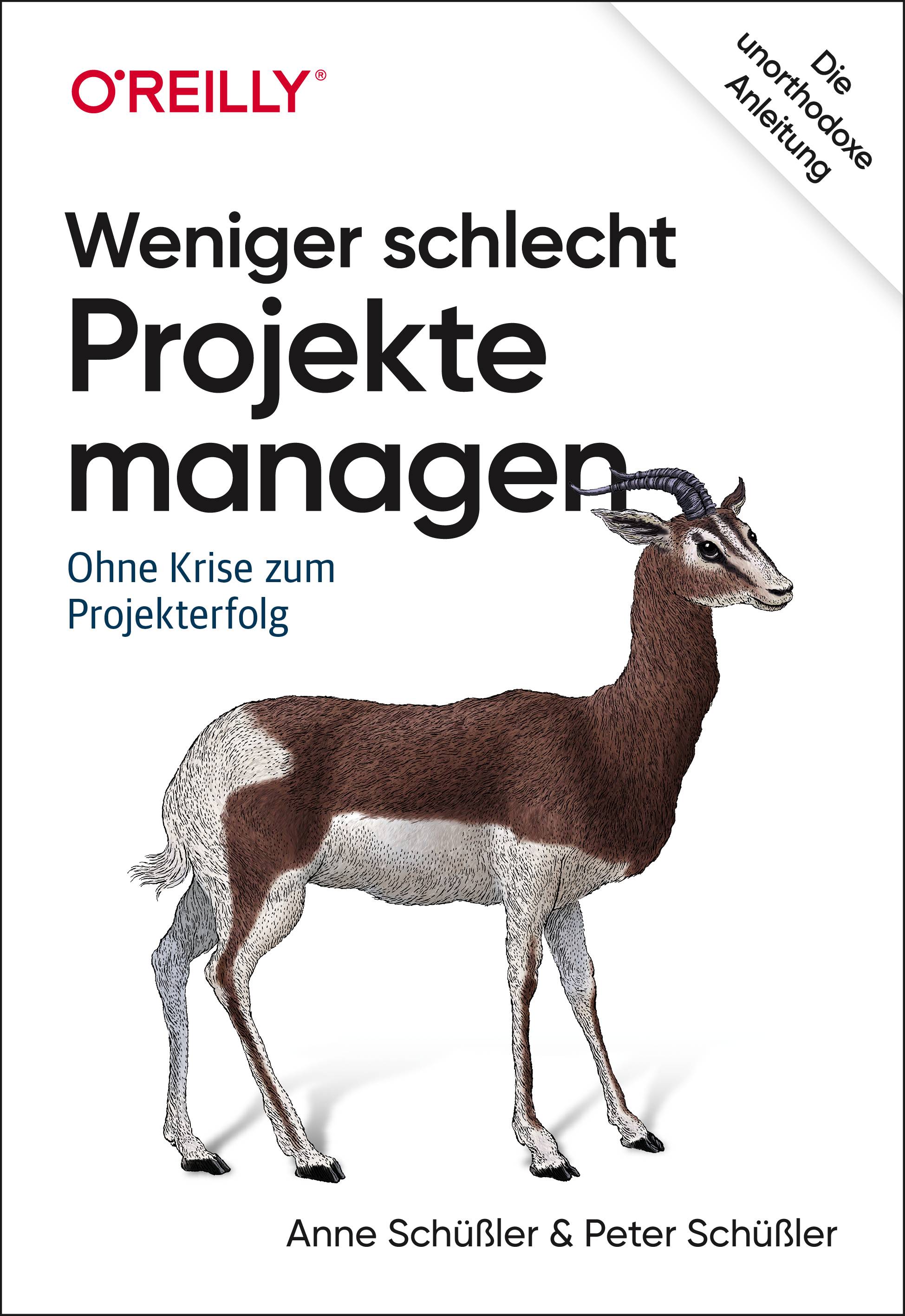 Weniger schlecht Projekte managen Ohne Krise zum Projekterfolg
