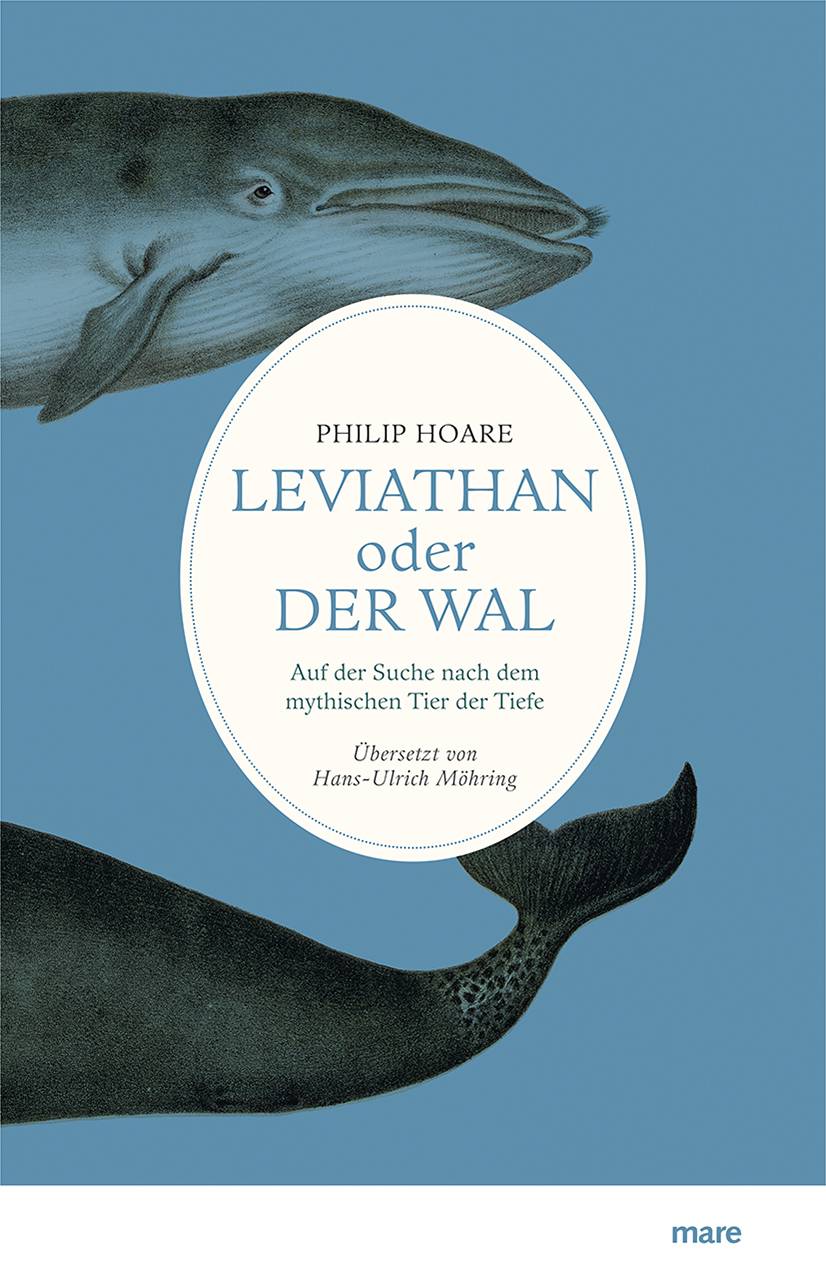 Leviathan oder Der Wal Auf der Suche nach dem mythischen Tier der Tiefe