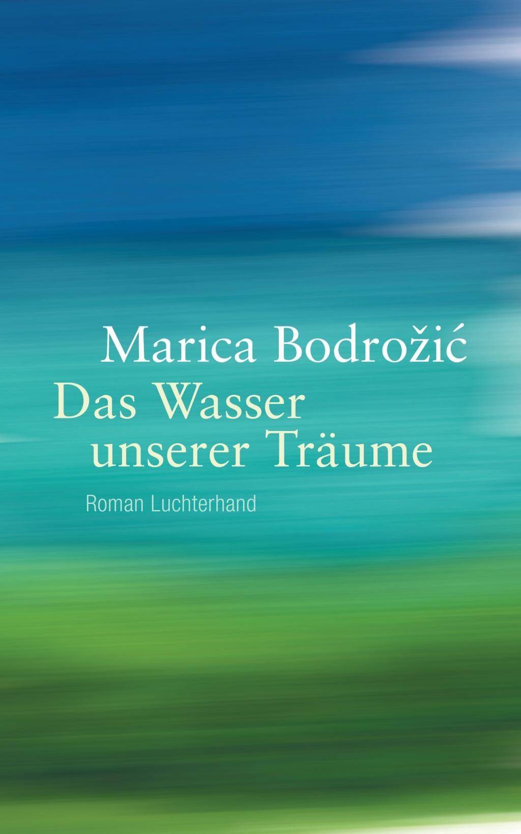 Das Wasser unserer Träume Roman