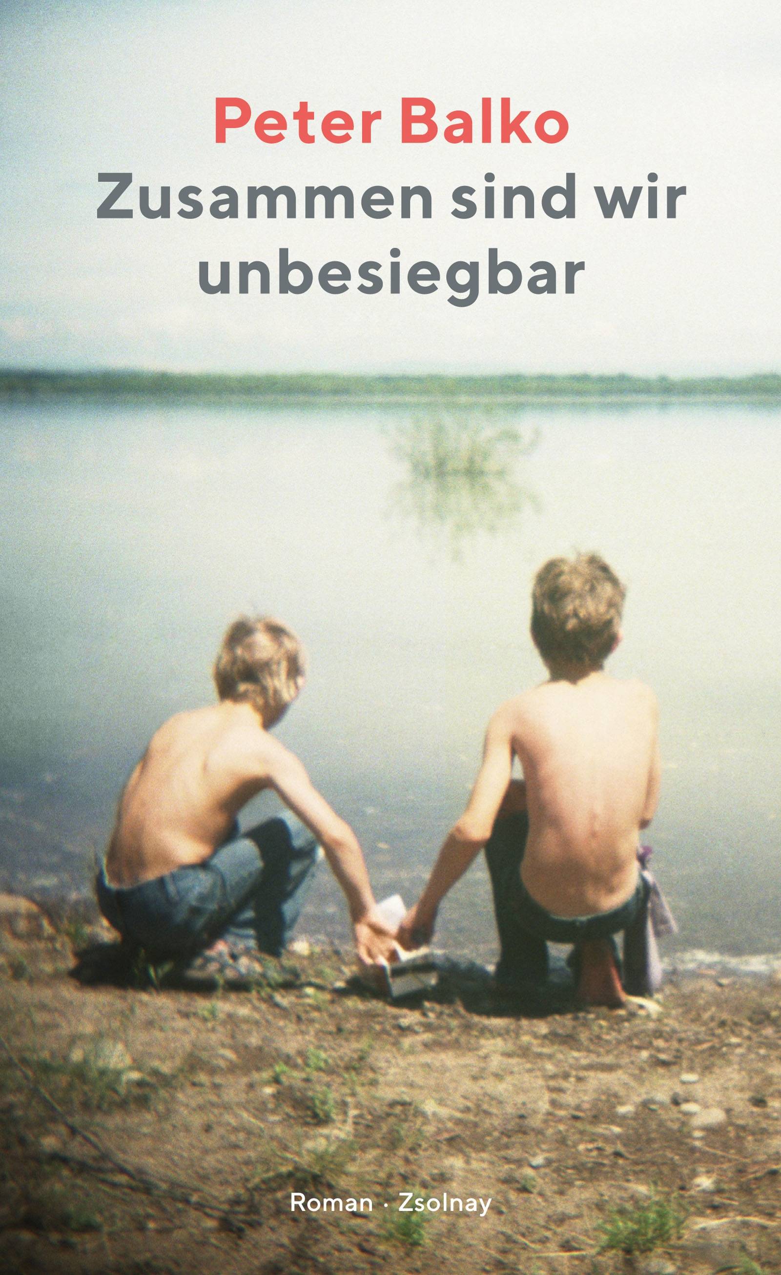 Zusammen sind wir unbesiegbar Roman