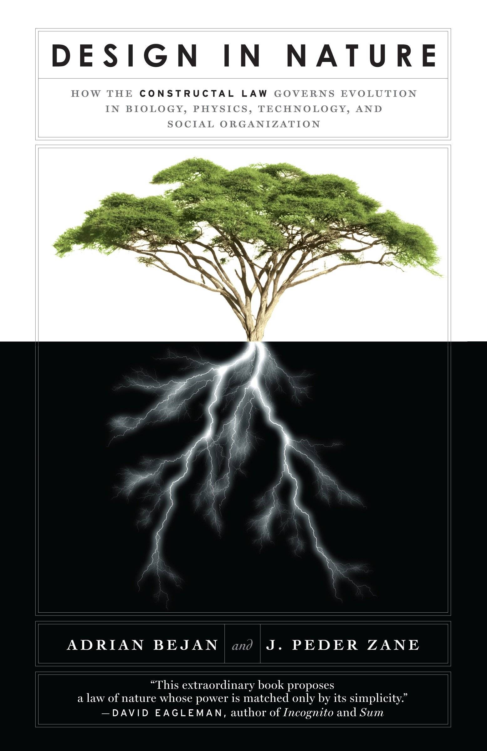 Design in Nature How the Constructal Law Governs Evolution in Biology, Physics, Technology, and Social Organizations