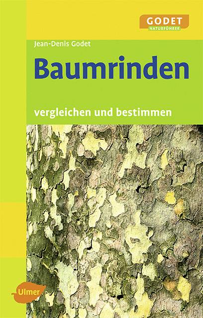 Baumrinden Vergleichen und bestimmen