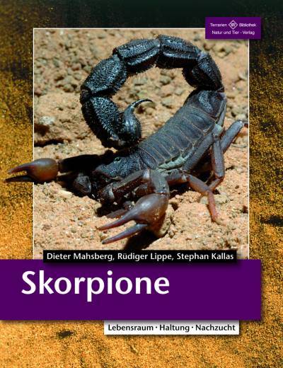 Skorpione Lebensraum, Haltung, Zucht