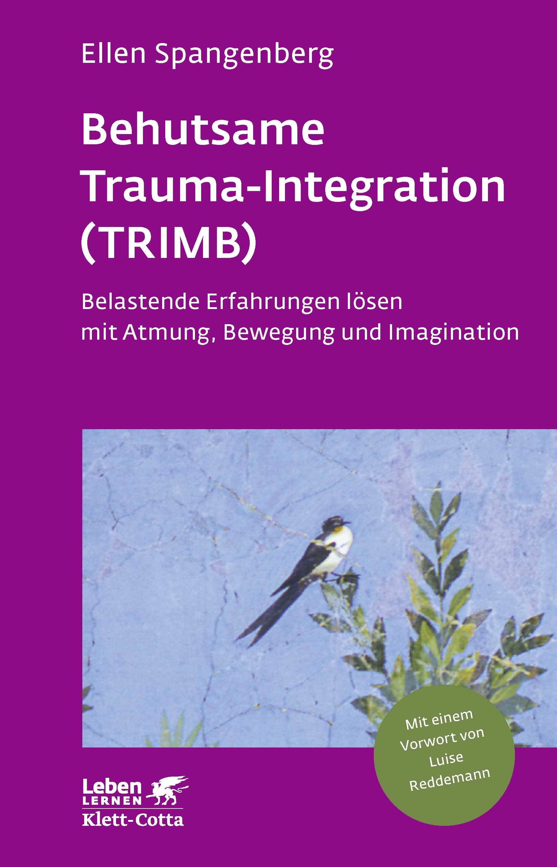 Behutsame Trauma-Integration (TRIMB) Belastende Erfahrungen lösen mit Atmung, Bewegung und Imagination