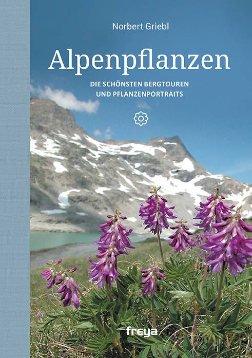 Alpenpflanzen Die schönsten Bergtouren und Pflanzenportraits