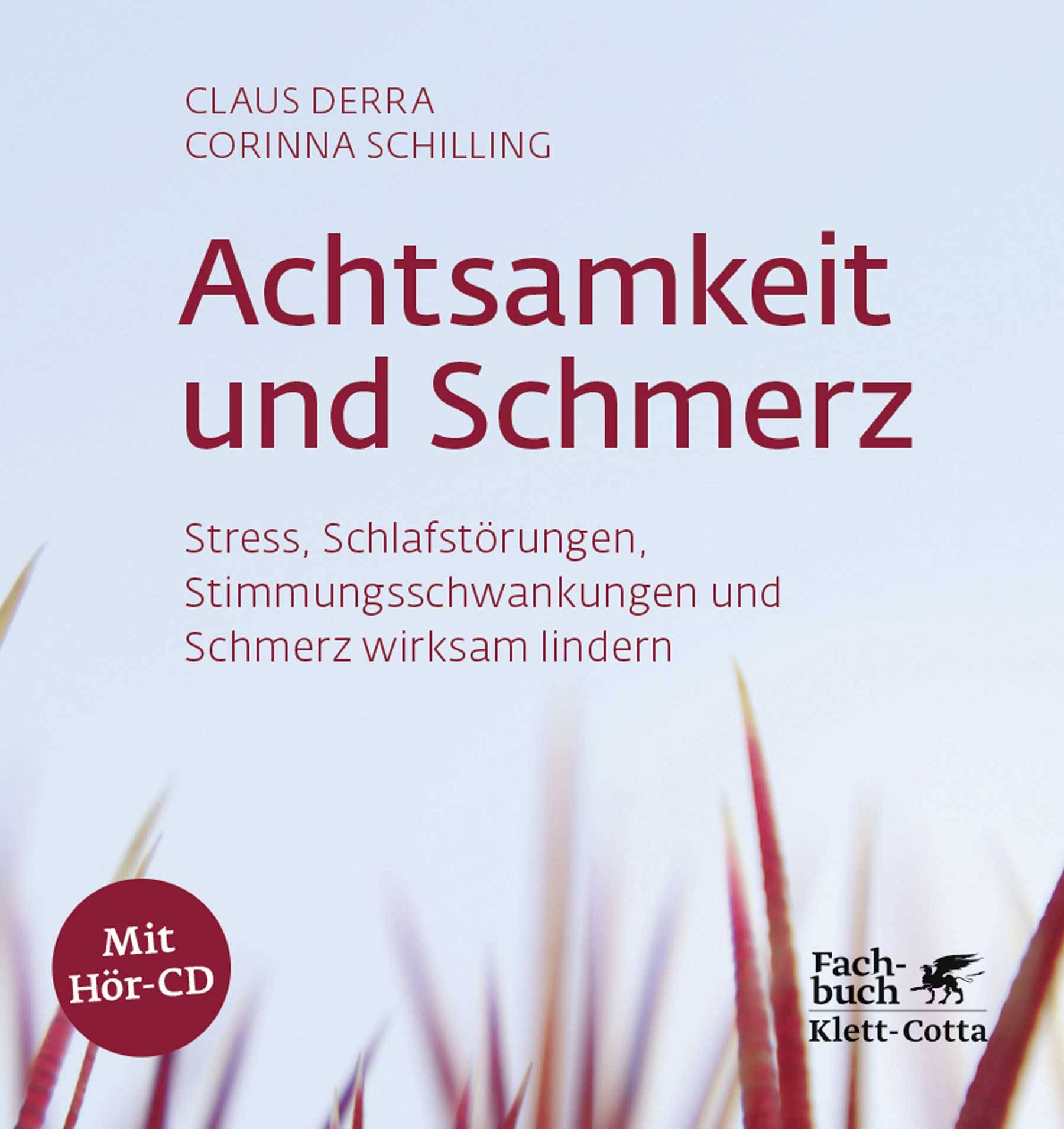 Achtsamkeit und Schmerz Stress, Schlafstörungen, Stimmungsschwankungen und Schmerz wirksam lindern