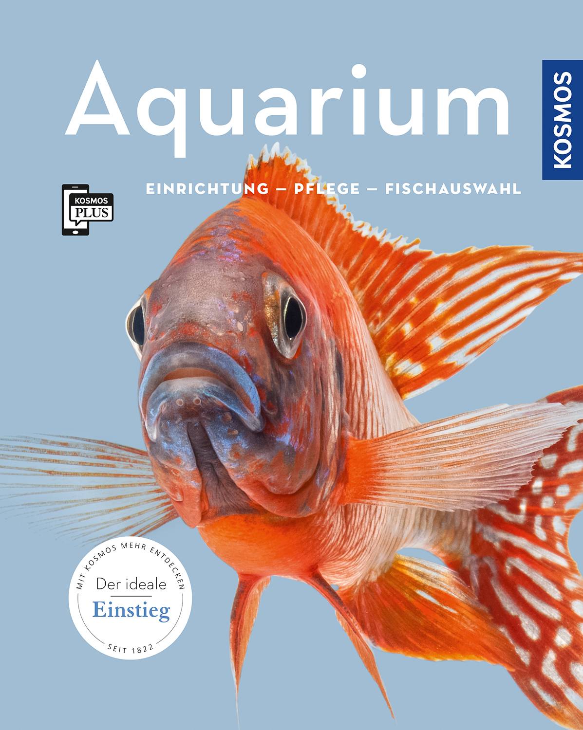 Aquarium Einrichtung, Pflege, Fischauswahl