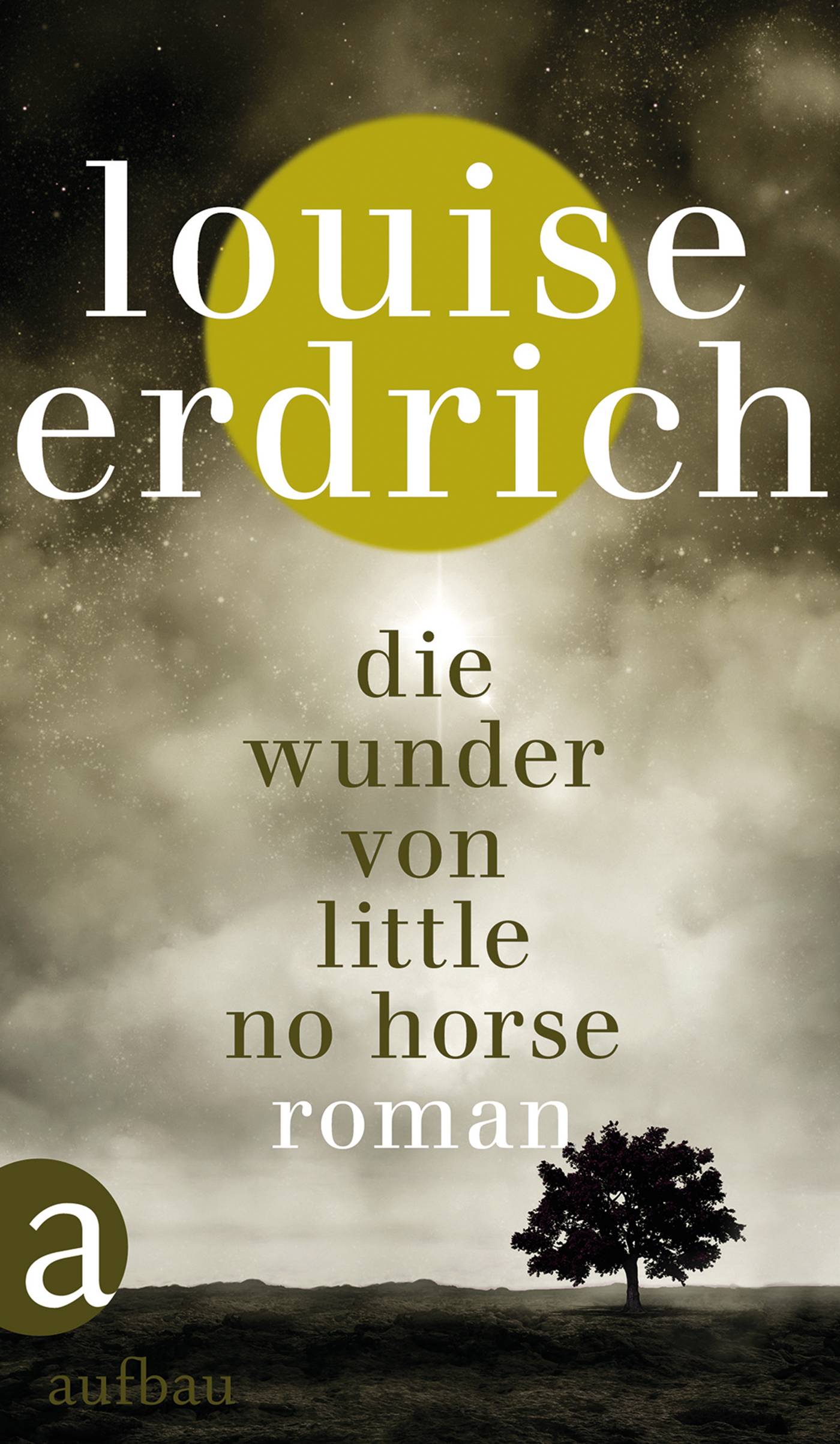 Die Wunder von Little No Horse Roman