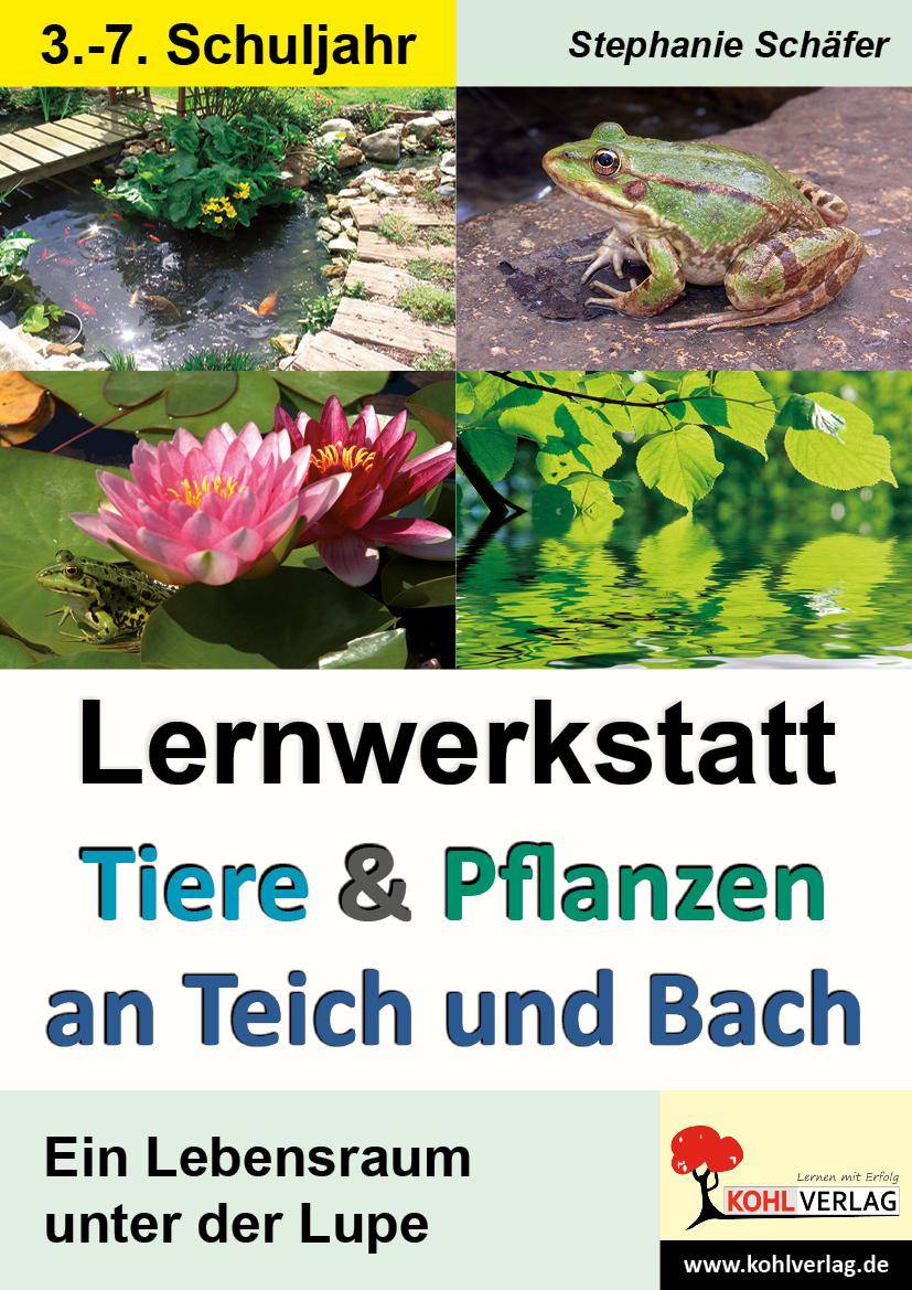 Lernwerkstatt Tiere & Pflanzen an Teich und Bach Kurztexte / Aufgaben / Übungen / Informationen / Mit Lösungen. Kopiervorlagen