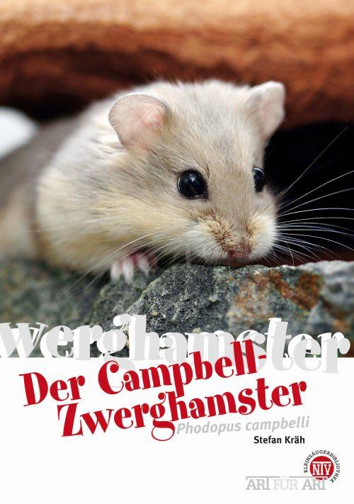 Campbell-Zwerghamster Phodopus campbelli