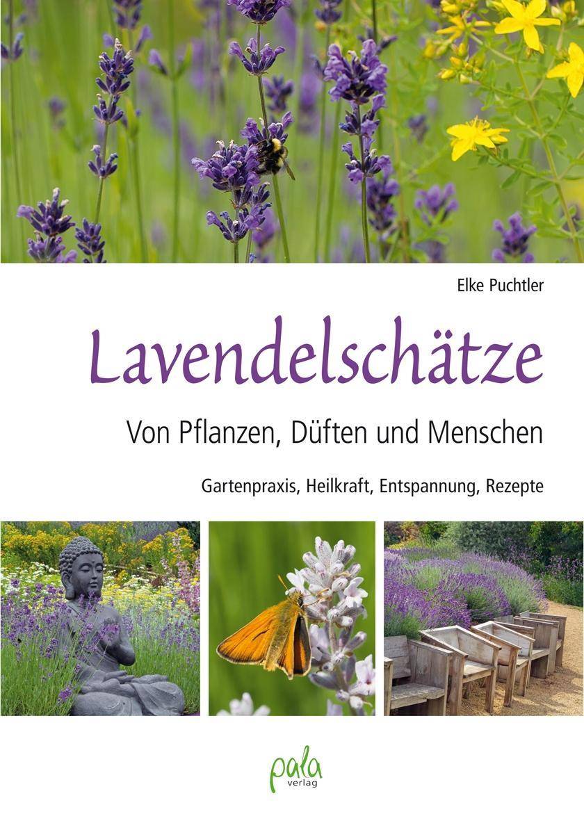 Lavendelschätze Von Pflanzen, Düften und Menschen. Gartenpraxis, Heilkraft, Entspannung, Rezepte