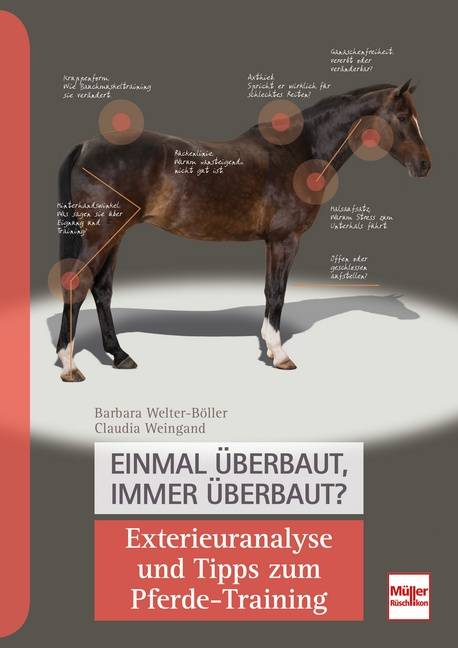 Einmal überbaut, immer überbaut? Exterieuranalyse und Tipps zum Pferde-Training