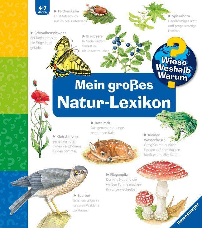 Mein großes Natur-Lexikon Wieso? Weshalb? Warum? Sonderband