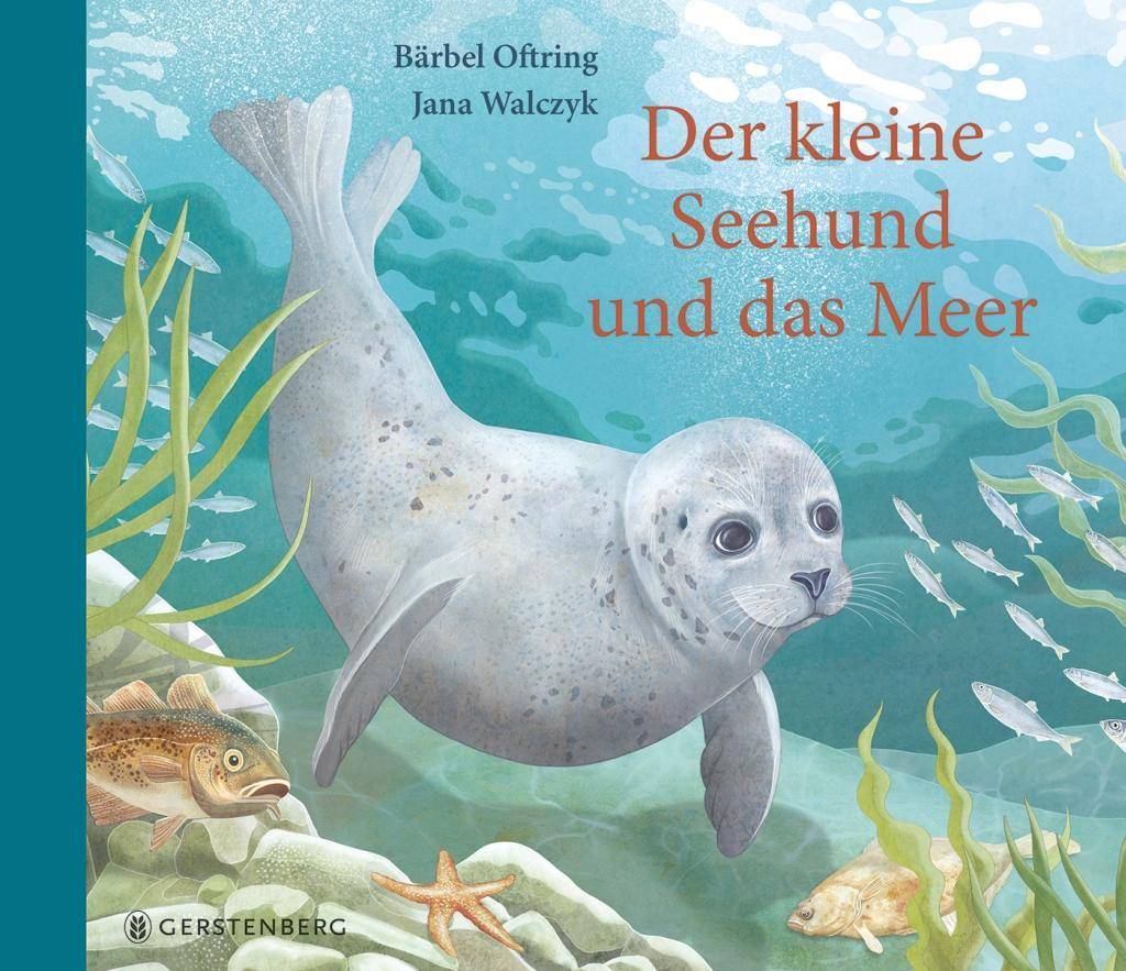 Der kleine Seehund und das Meer Mit zahlreichen Ausklappseiten