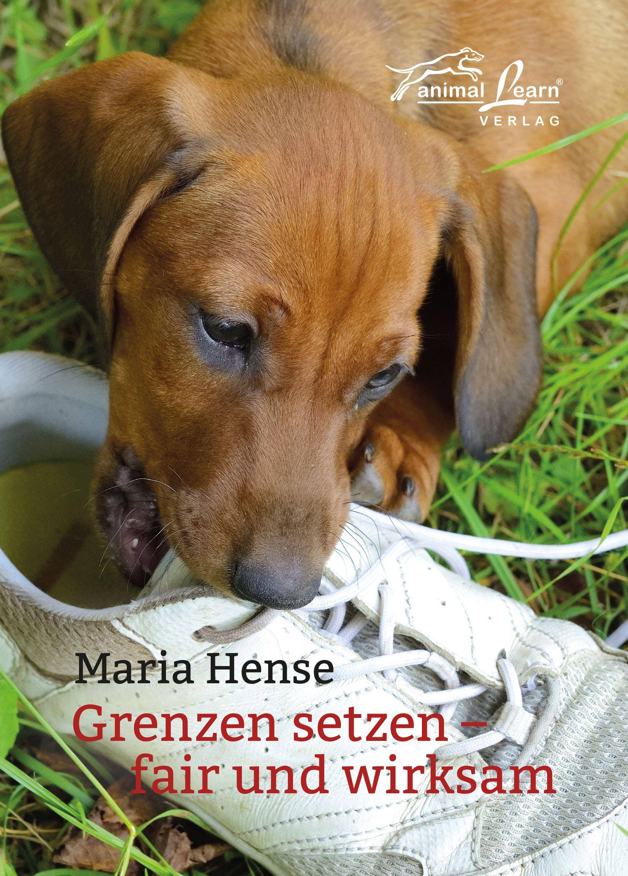 Grenzen setzen fair und wirksam