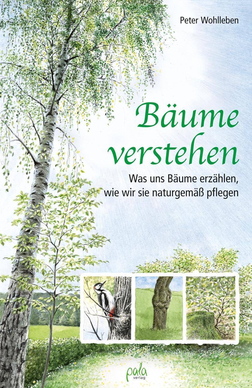 Bäume verstehen Was uns Bäume erzählen, wie wir sie naturgemäß pflegen