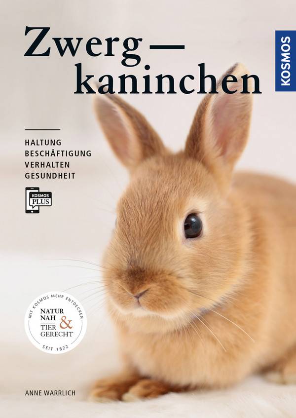 Zwergkaninchen Haltung, Beschäftigung, Verhalten, Gesundheit