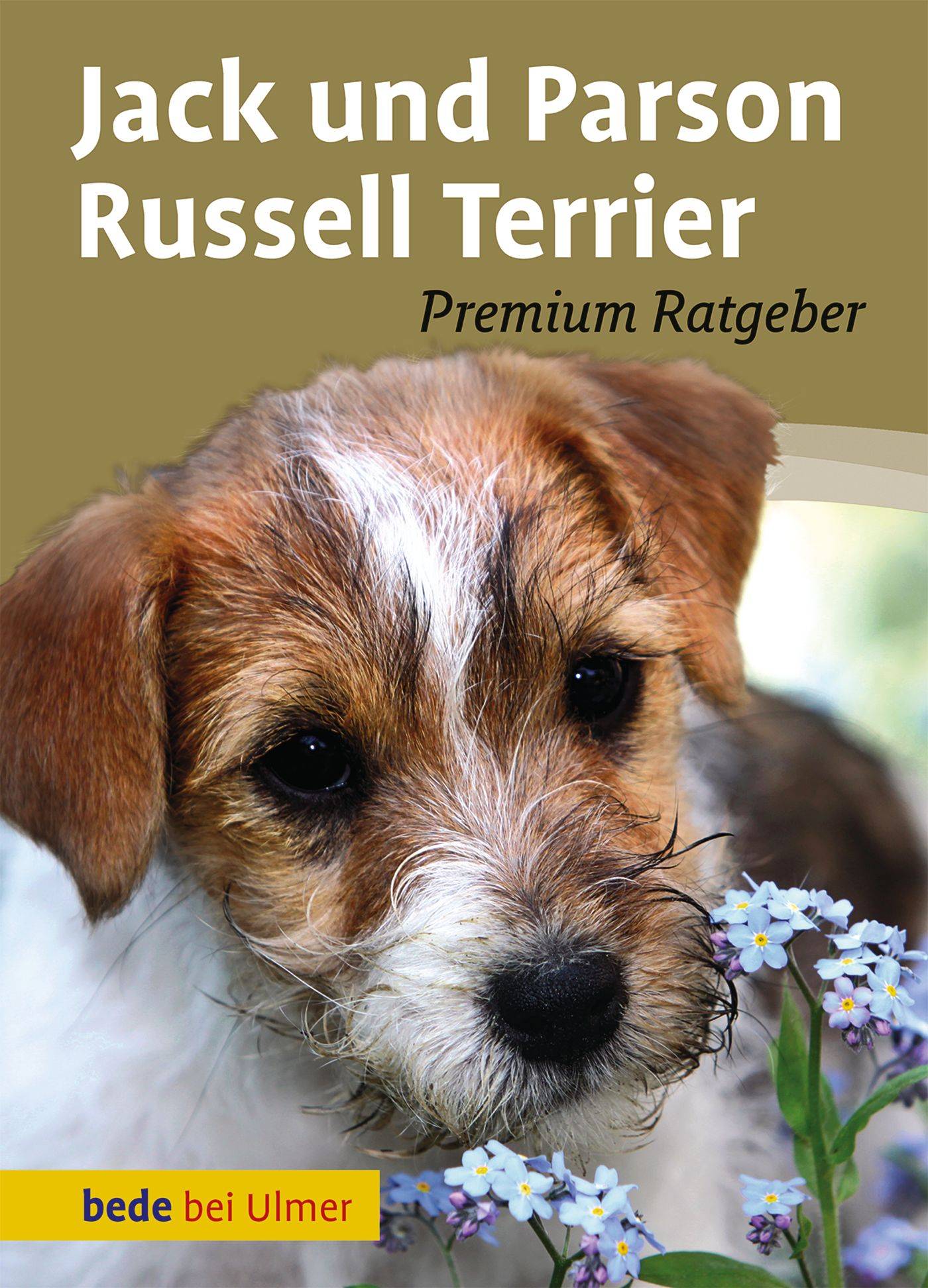 Jack und Parson Russell Terrier Premium Ratgeber
