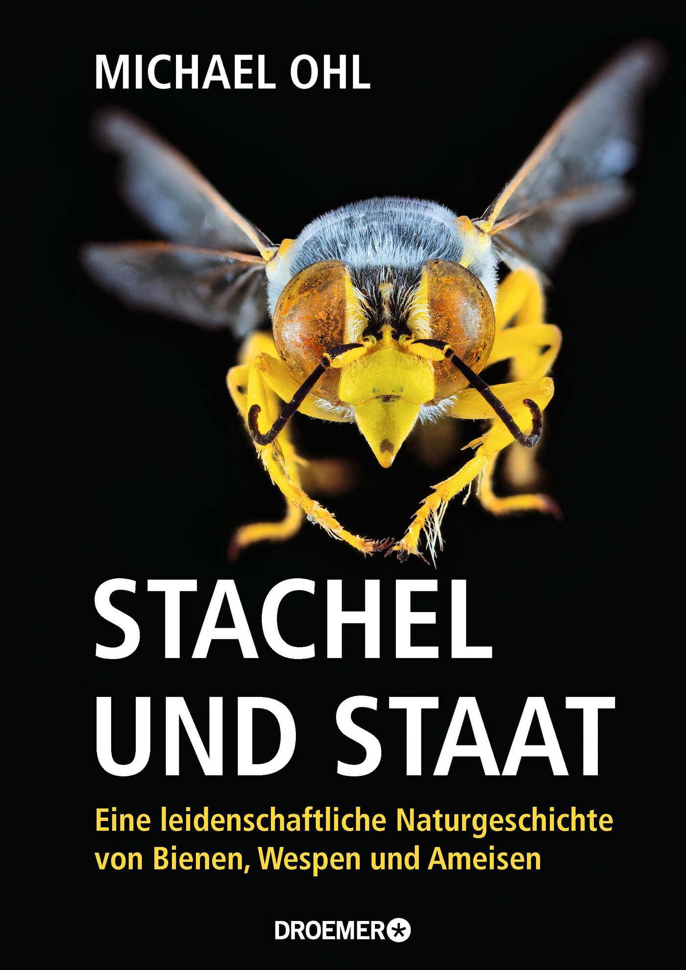 Stachel und Staat Eine leidenschaftliche Naturgeschichte von Bienen, Wespen und Ameisen
