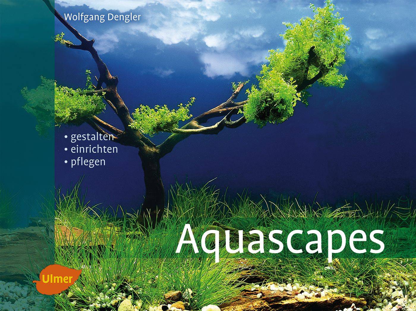 Aquascapes Gestalten, einrichten, pflegen