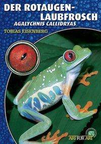 Der Rotaugenlaubfrosch Agalychnis callidryas