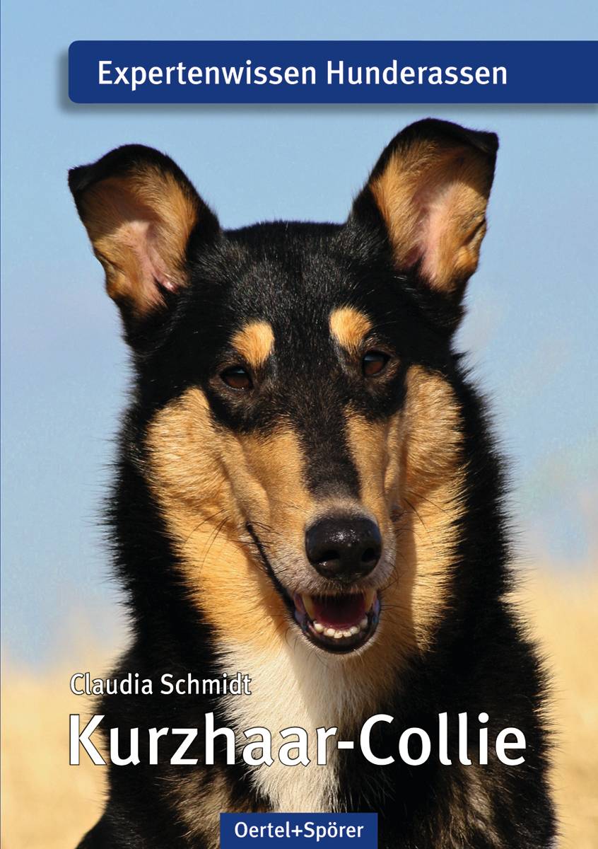 Kurzhaar-Collie Expertenwissen Hunderassen