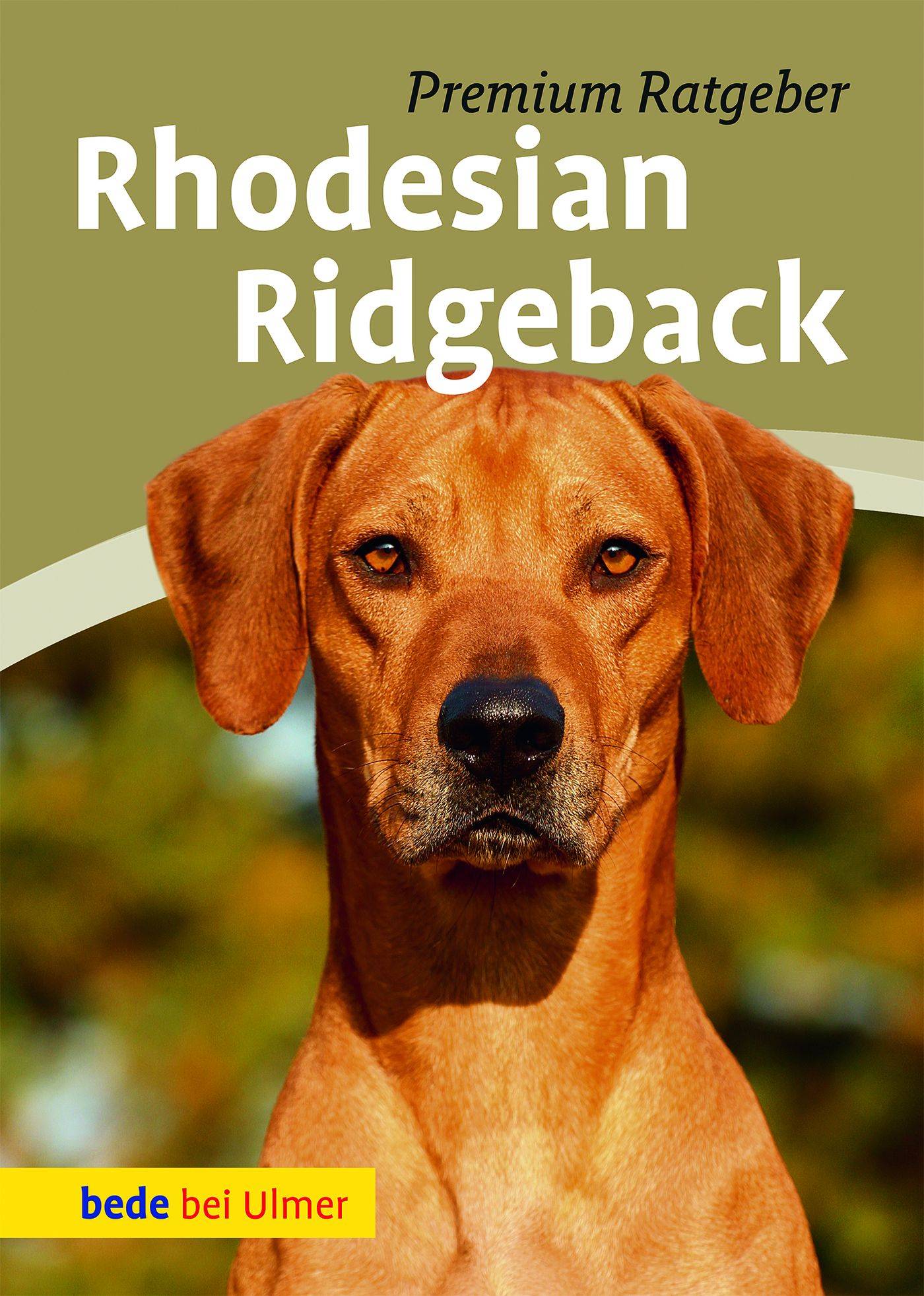 Rhodesian Ridgeback Premium Ratgeber