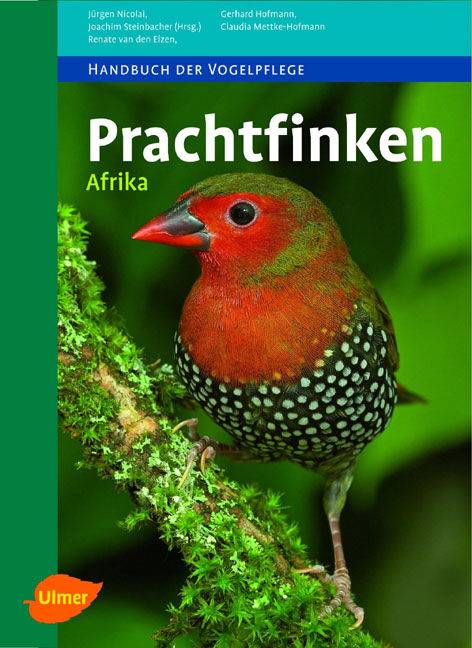 Prachtfinken Afrika Afrika