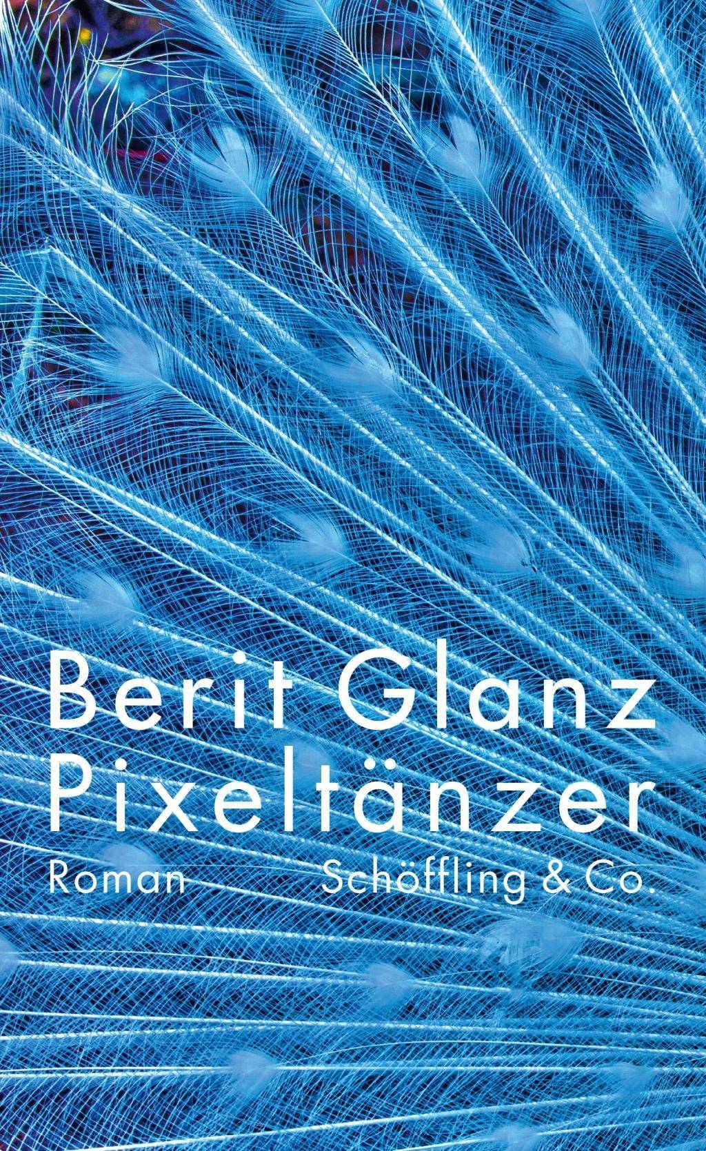 Pixeltänzer Roman. Nominiert für den Aspekte-Literatur-Preis 2019 (Shortlist)