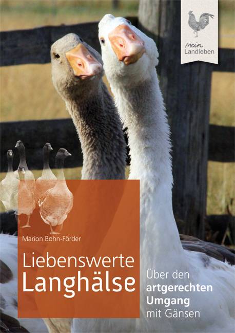 Liebenswerte Langhälse Über den artgerechten Umgang mit Gänsen
