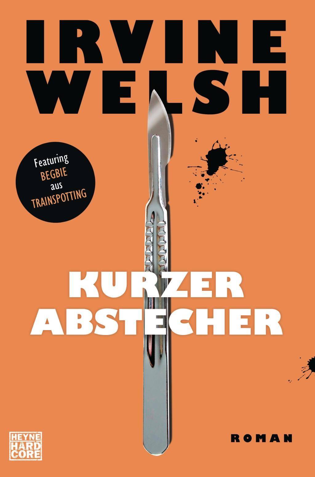Kurzer Abstecher Roman