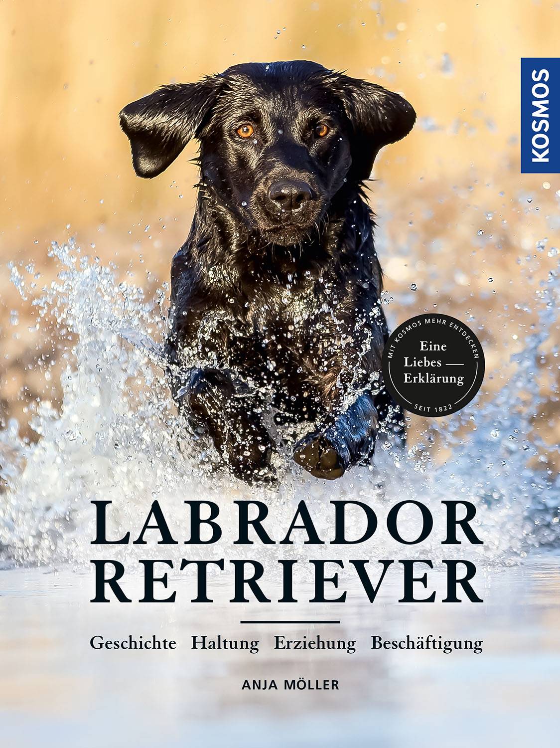 Labrador Retriever Geschichte, Haltung, Erziehung, Beschäftigung