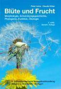 Blüte und Frucht Morphologie, Entwicklungsgeschichte, Phylogenie, Funktion und Ökologie